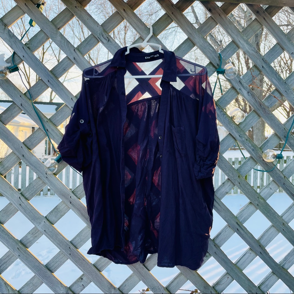 Express Plum Button Down